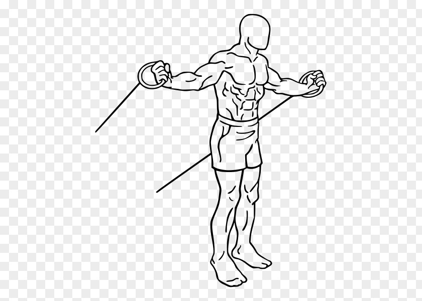 Fly Pulldown Exercise Triceps Brachii Muscle Pushdown Bands PNG