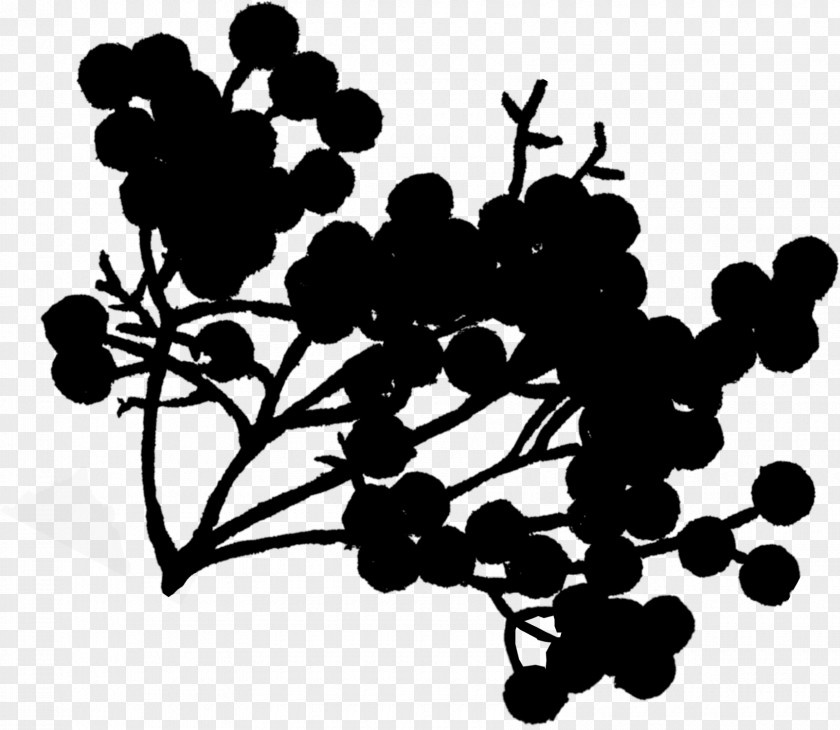 Grape Desktop Wallpaper Pattern Clip Art Silhouette PNG