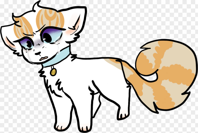 Kitten Whiskers Puppy 0 YouTube PNG