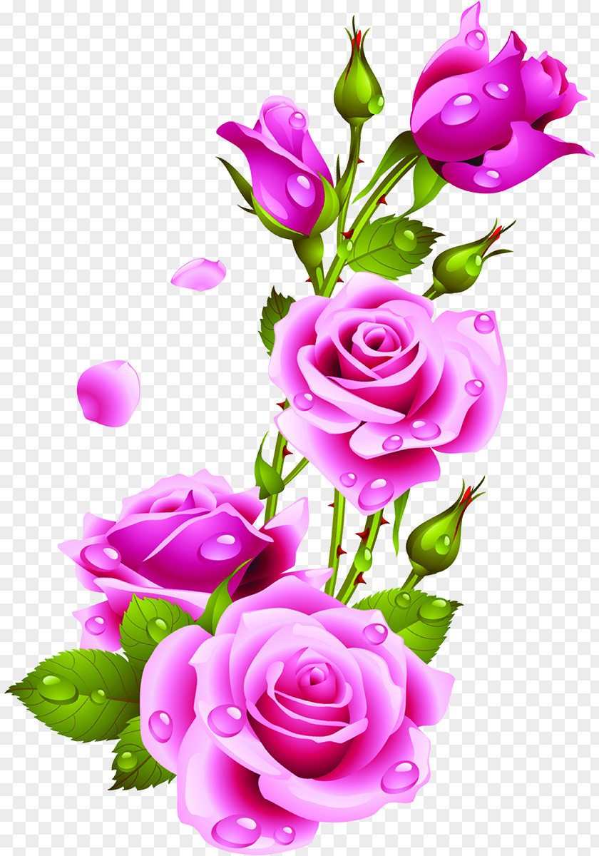 Rose Clip Art Desktop Wallpaper Image Flower PNG