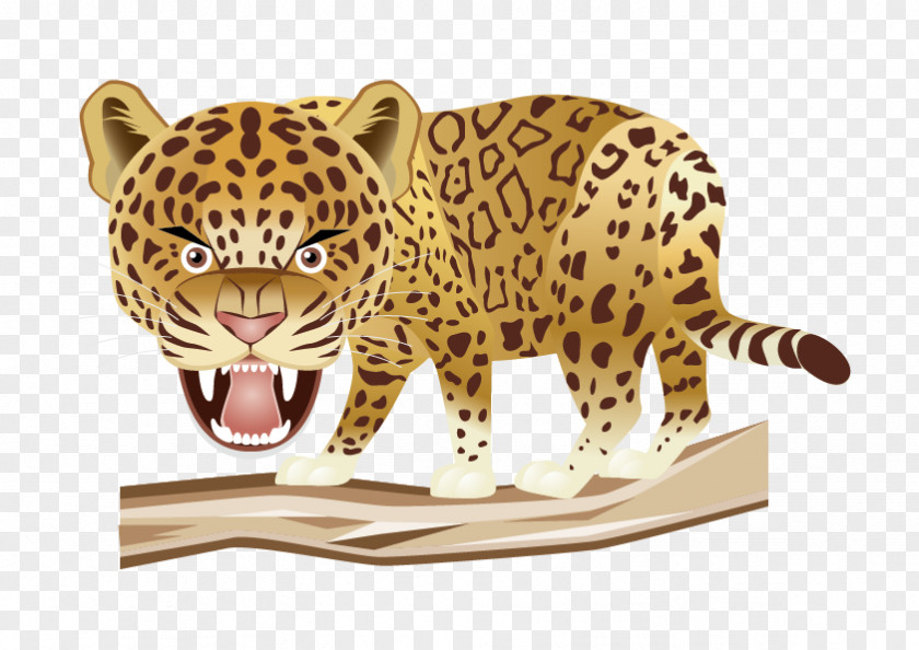 Vector Cartoon Leopard Jaguar Tiger Cheetah Felidae PNG