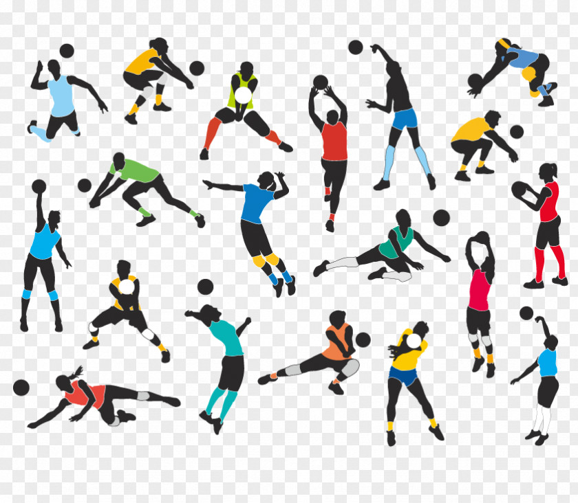 Vector Volleyball Sport PNG