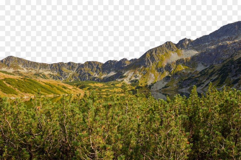 Biome Vegetation Mount Scenery Shrubland Wilderness PNG