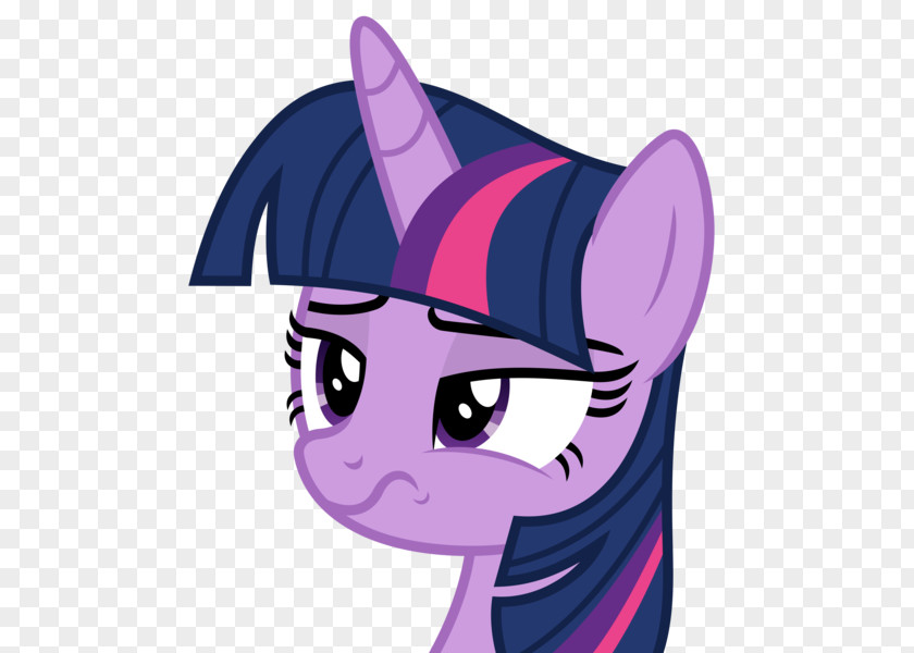 Horse Twilight Sparkle Rainbow Dash Applejack Pinkie Pie Rarity PNG