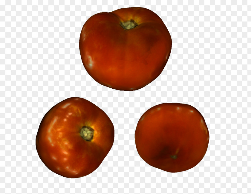 Tomato Watercolor 3D Printing Threeding Modeling ZBrush PNG