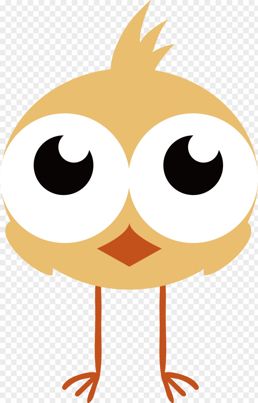 Vector Chick Chicken PNG
