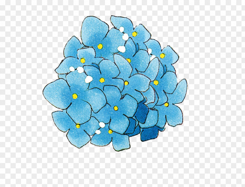 Euclidean Flower French Hydrangea Petal PhotoFiltre Blue PNG