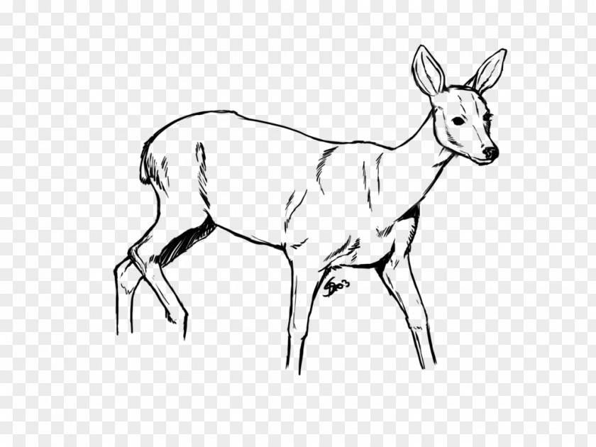 A Deer Stumbled By Stone Reindeer White-tailed Drawing Elk PNG