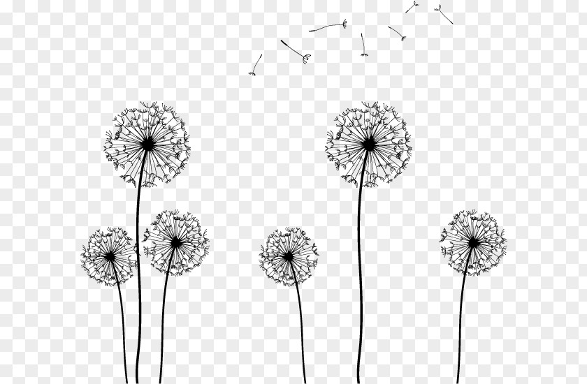 Dandelion Silhouette Vector Seed Clip Art PNG