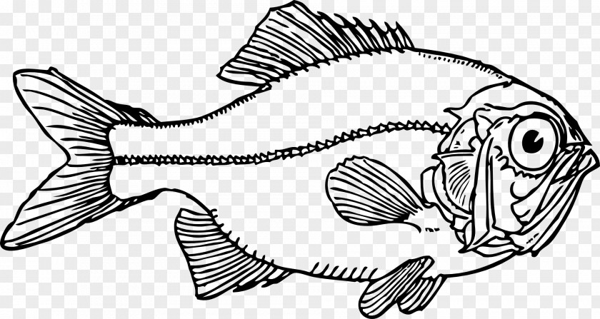 Fisch Fishing Clip Art PNG