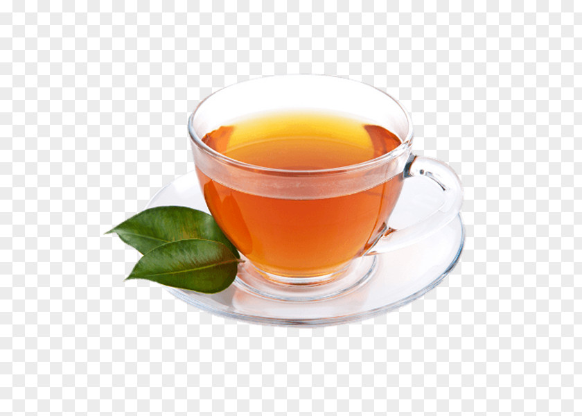 Fresh Cup Of Tea Green Clip Art PNG