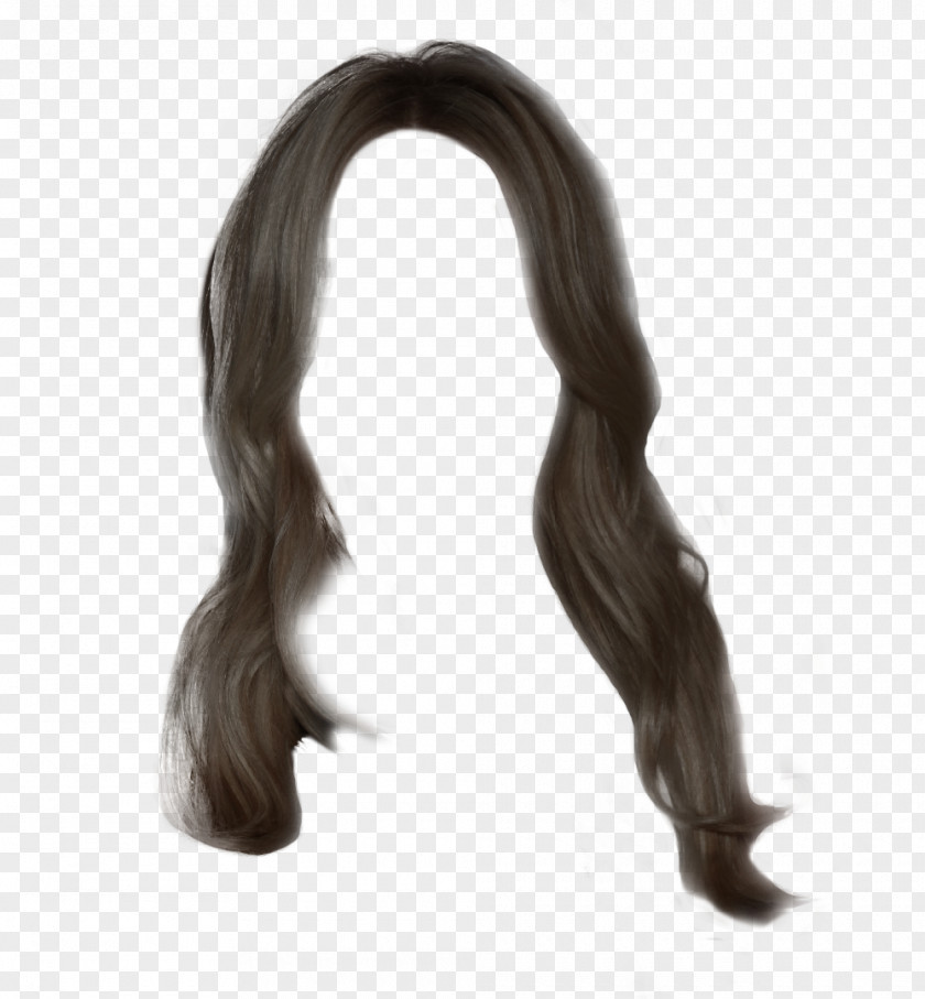 Hair Wig Hairstyle Long Makeover PNG