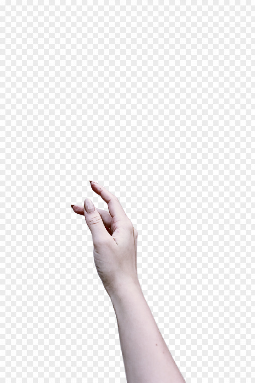 Hand Model Joint Meter Nail PNG