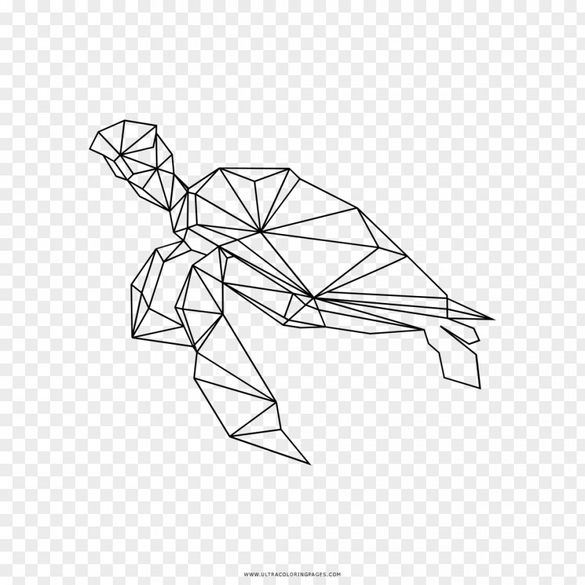 Turtle Baby Sea Line Art Drawing Coloring Book PNG