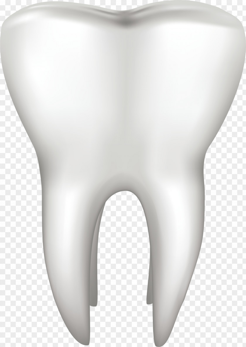White, Simple Teeth Tooth Dentistry PNG