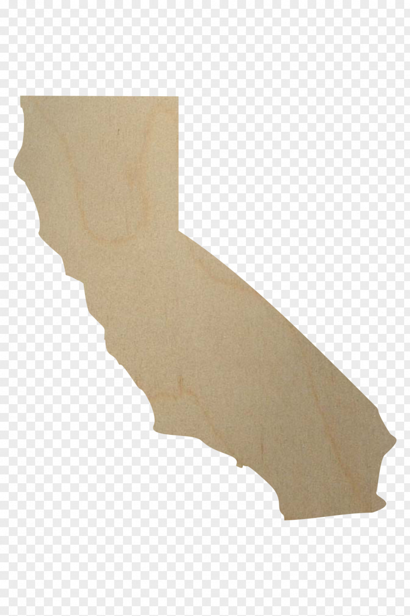 Wooden California Grizzly Bear South Carolina Food Quizlet PNG