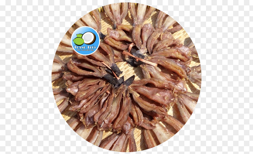 Bansi Khô Cá Lóc Snakehead Fish CÔNG TY TNHH SX & TM KỆ SẮT HỮU PHÁT Food PNG