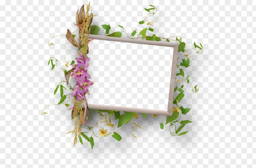 Design Floral Clip Art PNG