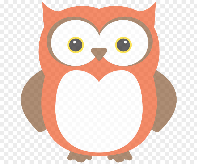 Eastern Screech Owl Bird Of Prey Orange PNG