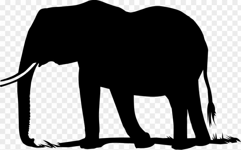 Indian Elephant African Clip Art Silhouette PNG