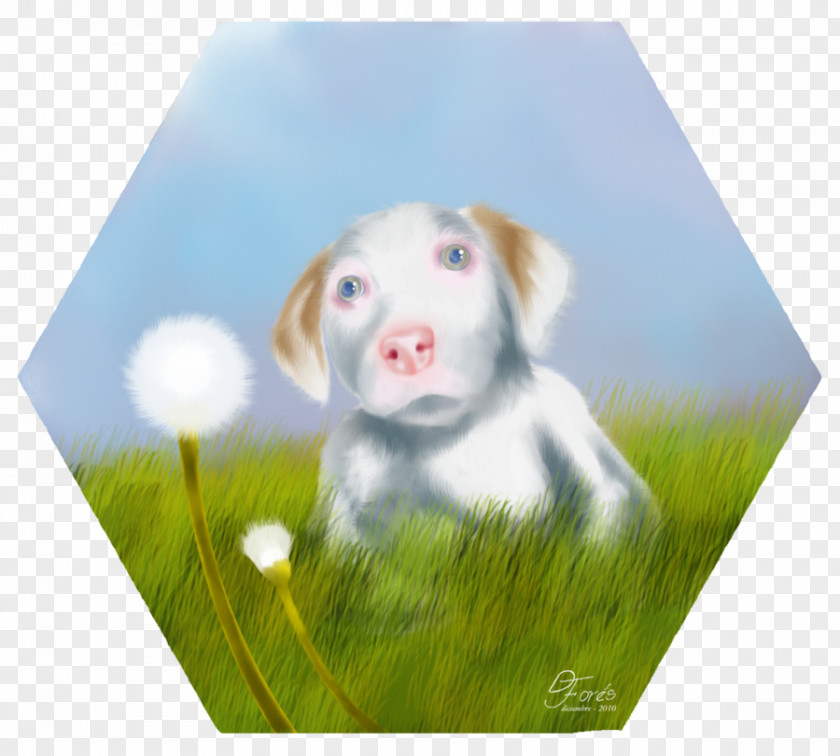 Puppy Dog Breed Love Companion PNG