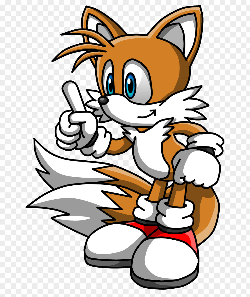 Sonic Advance 2 The Hedgehog Tails Chaos PNG