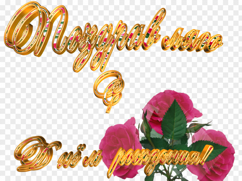 Birthday Jubileum Holiday Anniversary Inscription PNG