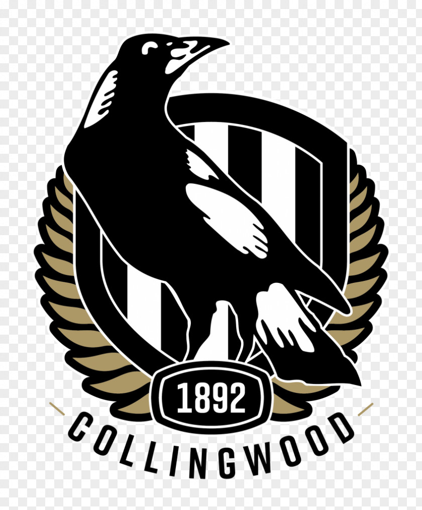 Deer Valley High School Football Logo 2018 Collingwood Club Season AFL Finals Series Women's PNG