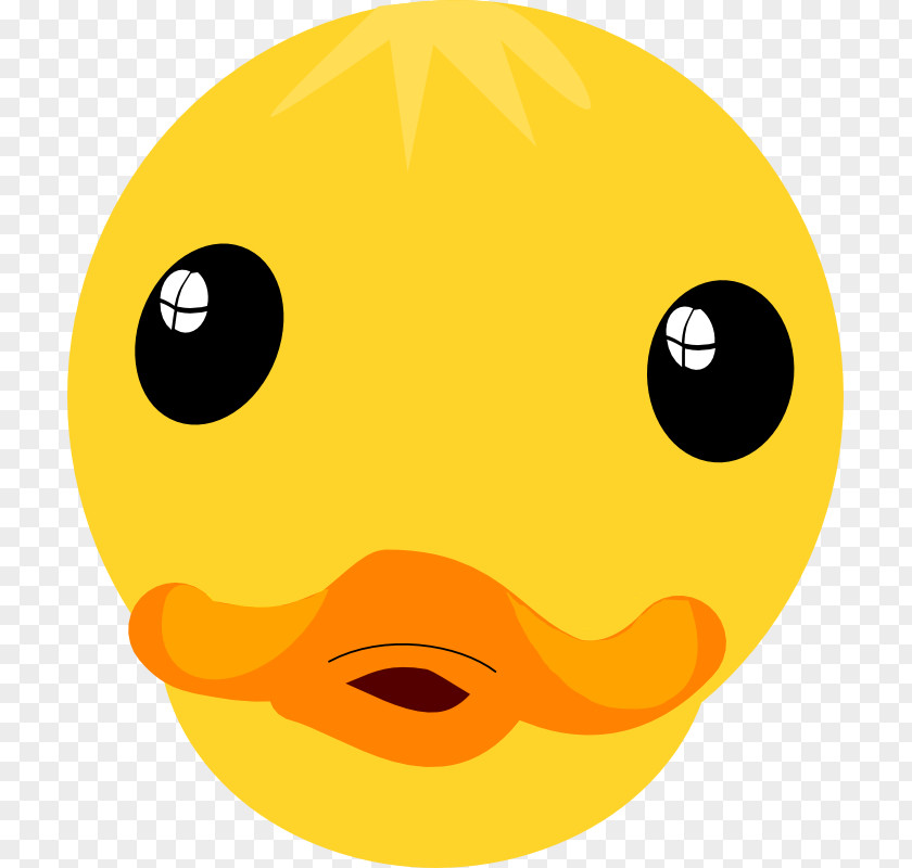 Duck Face Cliparts Donald Daisy American Pekin Clip Art PNG