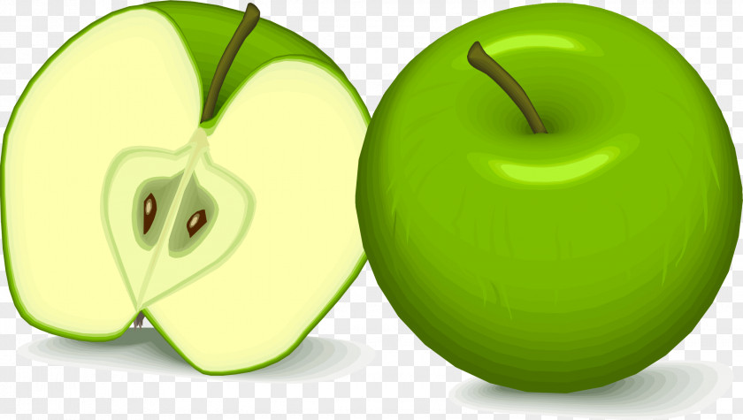 GREEN APPLE Fruit Food Flashcard English Learning PNG