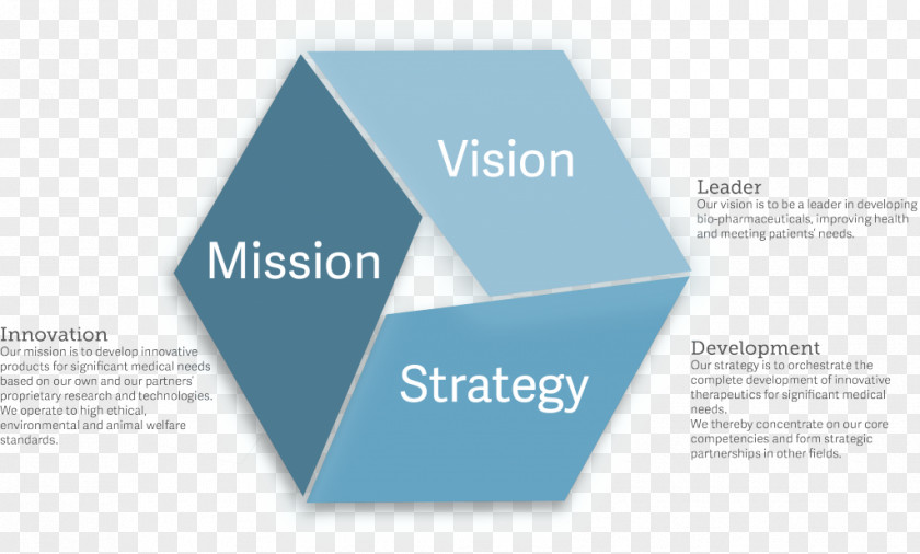 Vision Statement Mission Strategic Planning Strategy Organization PNG