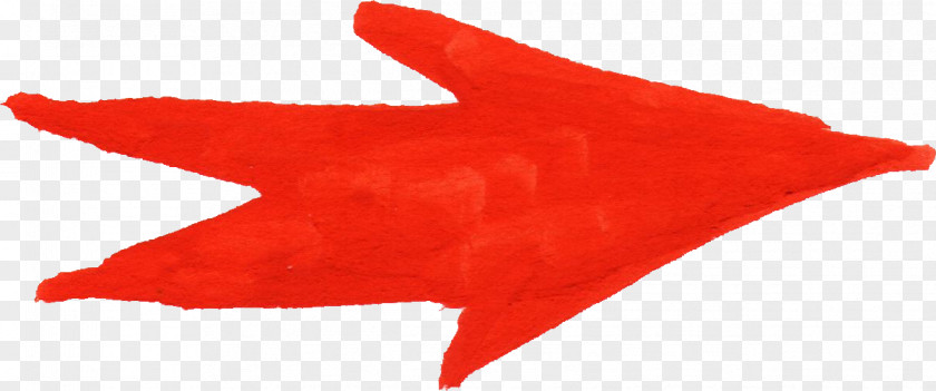 Watercolor Red Marine Mammal Fish PNG