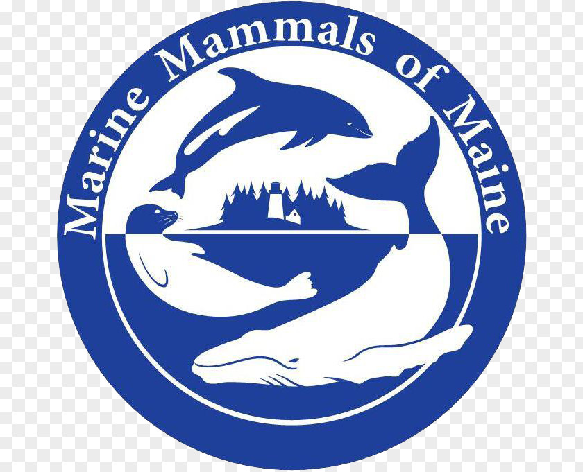 Whale Marine Mammal Protection Act British Divers Life Rescue Animal PNG