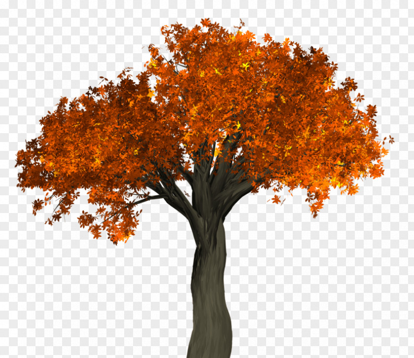 Autumn Clip Art Image Photograph PNG