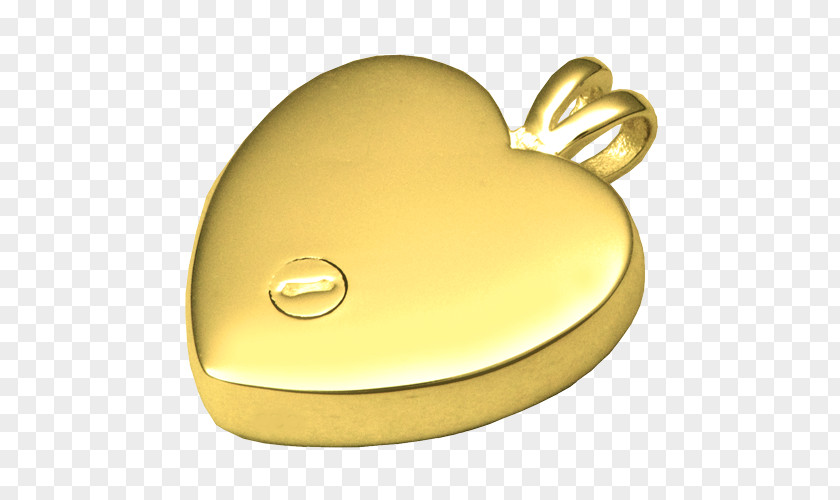 Dog Necklace Gold 01504 Material PNG