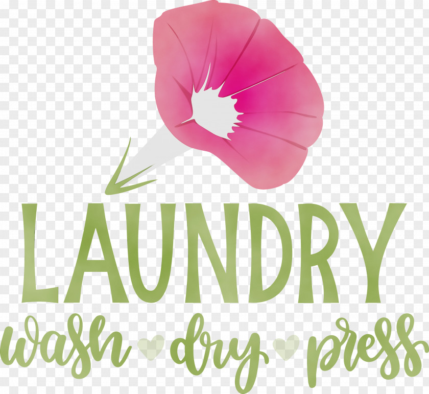 Flower Logo Petal Font Meter PNG