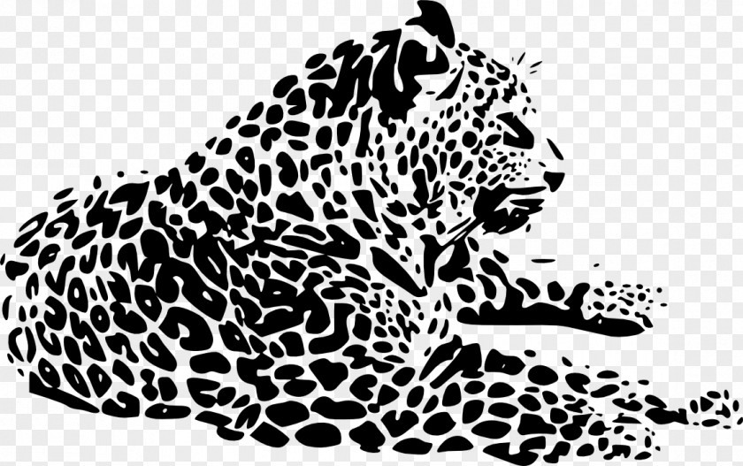 Leopard Cheetah Tiger Jaguar Whiskers PNG