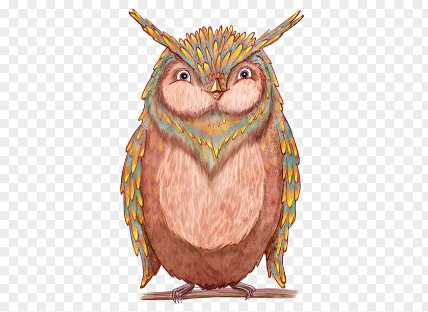 Owl Drawing Feather Illustration PNG