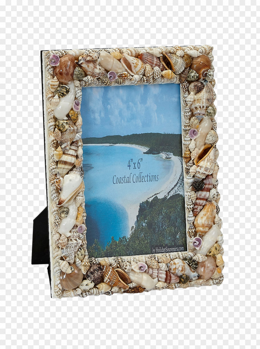Seashell Frame Picture Frames Glass Beach PNG