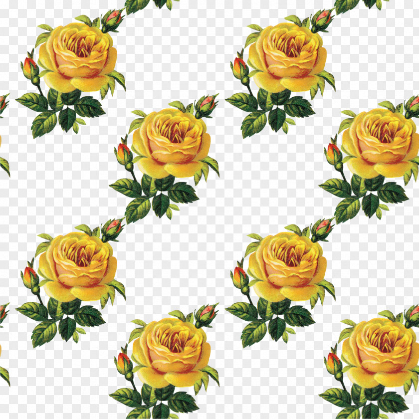 Vintage Rose Flower Bouquet Garden Roses Floral Design Cut Flowers PNG