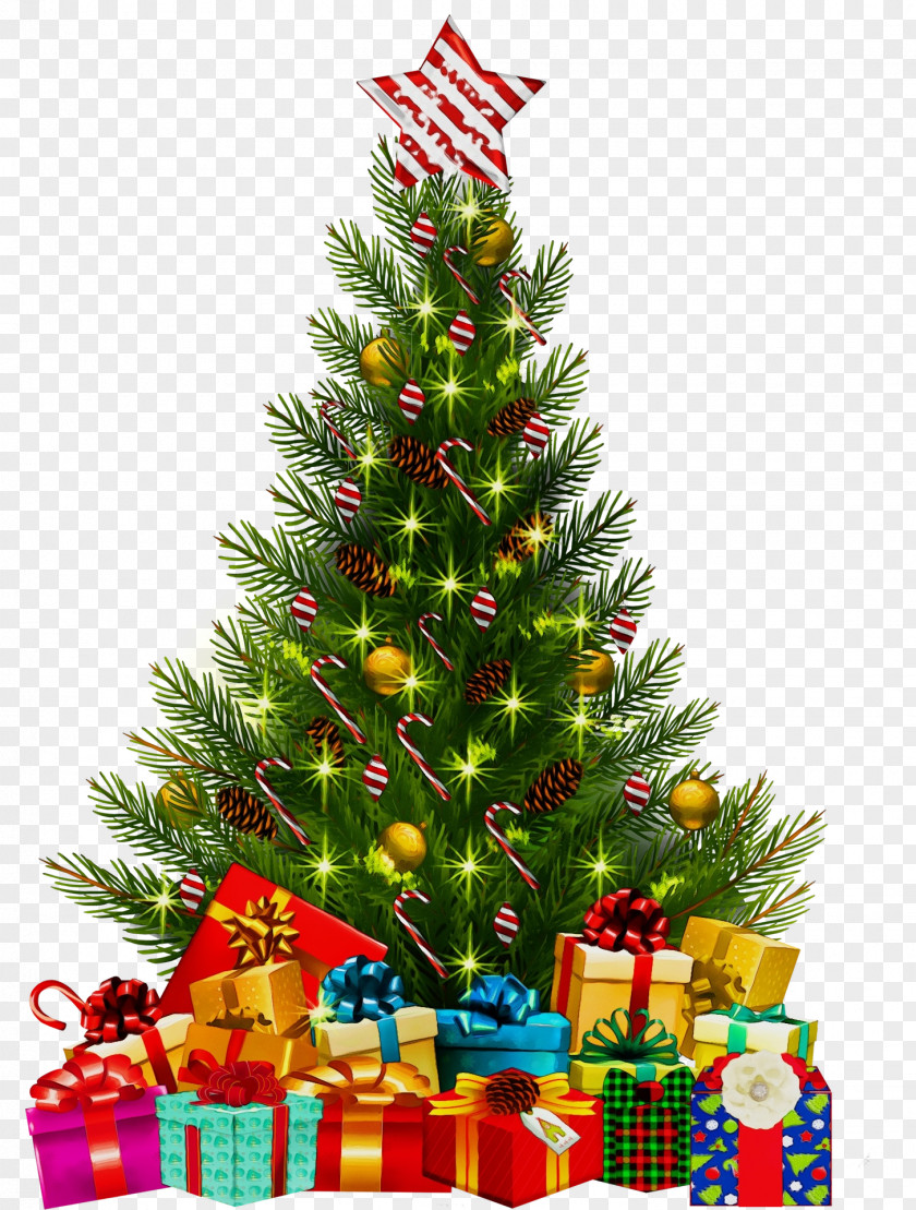 Christmas Eve Spruce Tree PNG