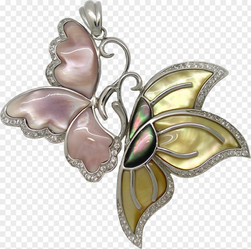 Elements Animation Avatar Butterflies And Moths PNG