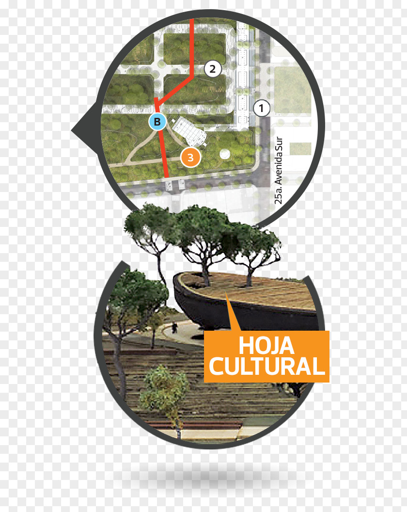 Parque Cuscatlan Park Architectural Engineering PNG