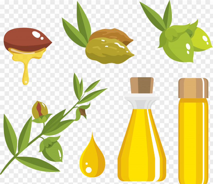 Process For Making Olive Oil Jojoba PNG