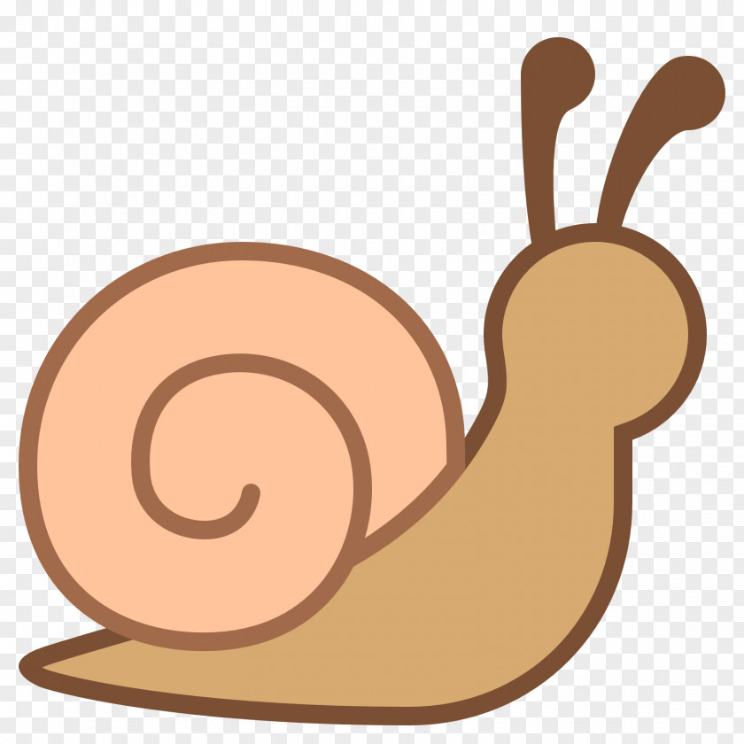 Snails Snail Gastropod Shell Molluscs Mollusc Clip Art PNG