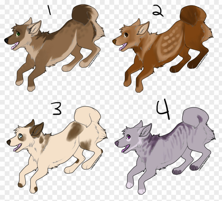 Cat Dog Breed Paw PNG