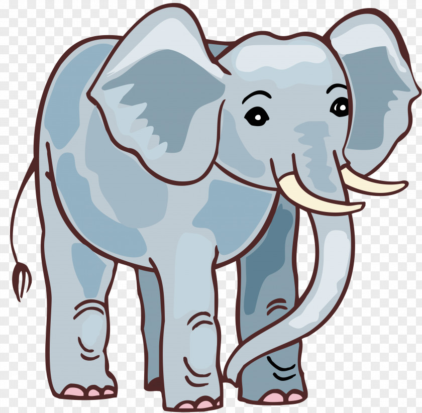 Elephants Elephant Proboscis Animal Cat Clip Art PNG