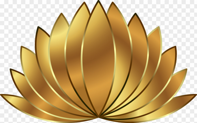 Golden Lotus Gold Download PNG