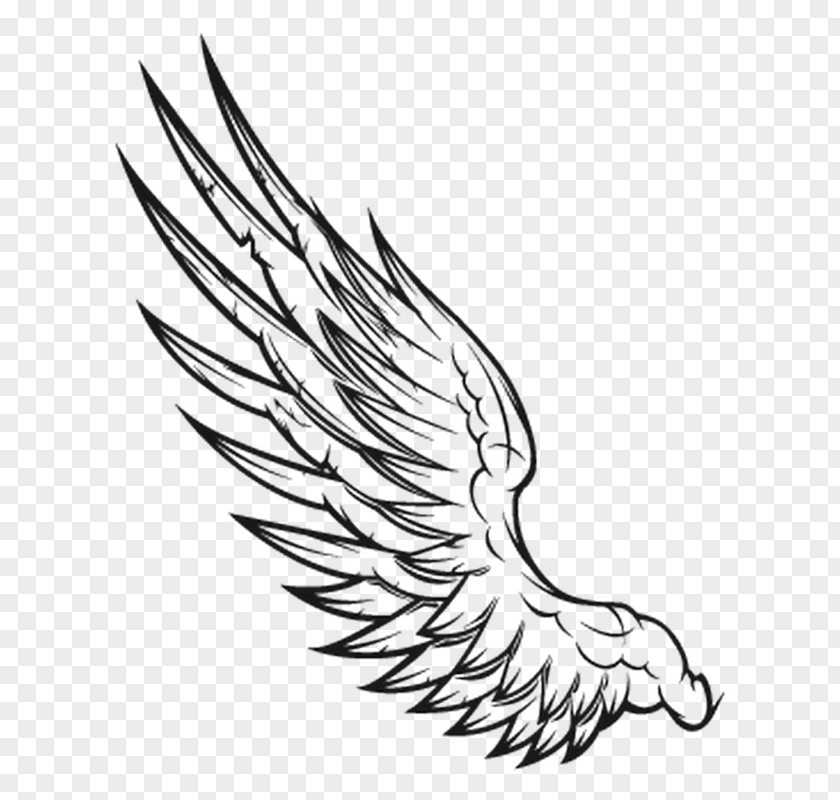 Hummer Wing Black And White Clip Art PNG