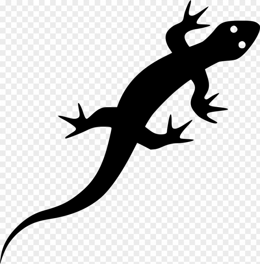 Lizard Reptile Green Iguana Vector Graphics Illustration PNG